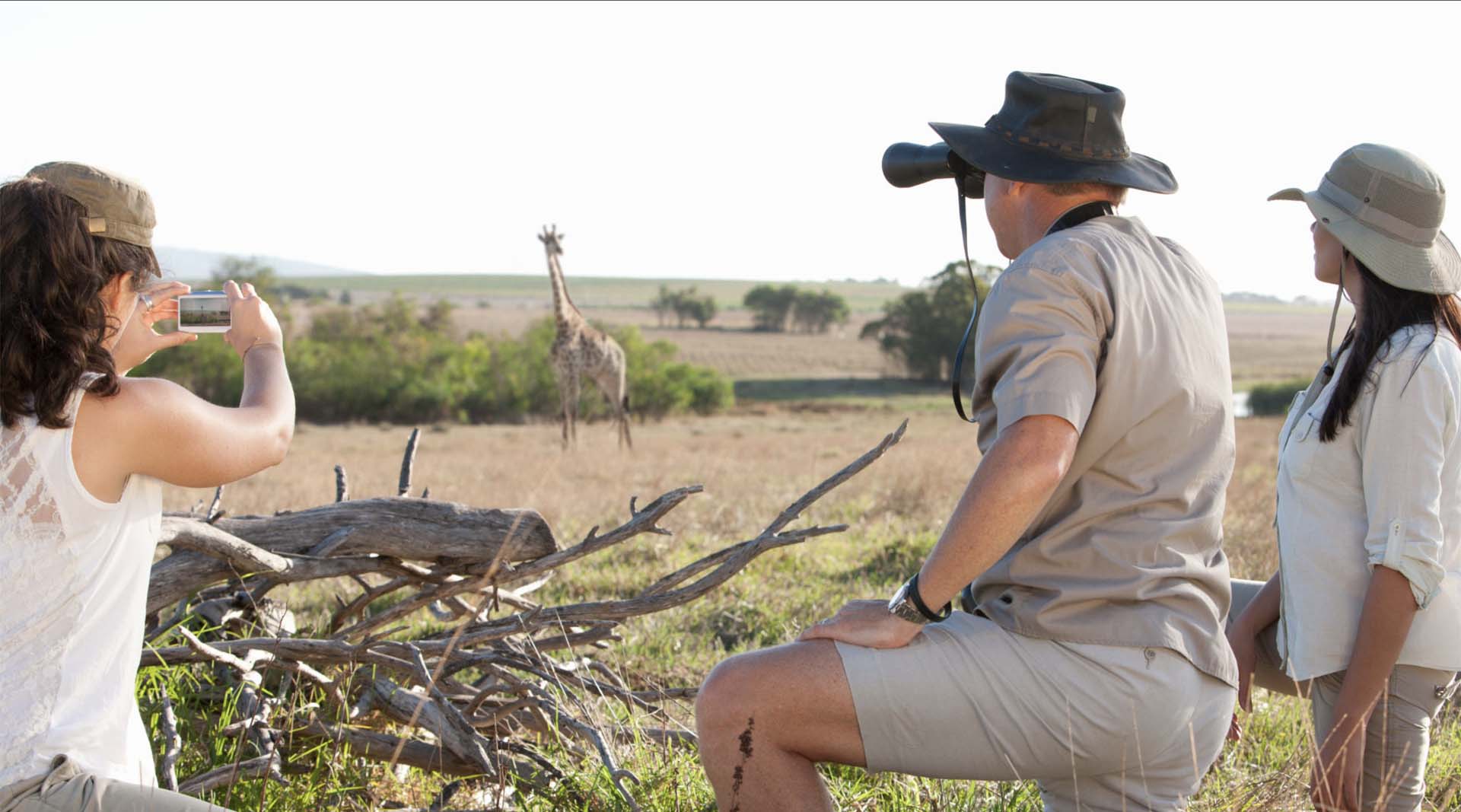 destination for families